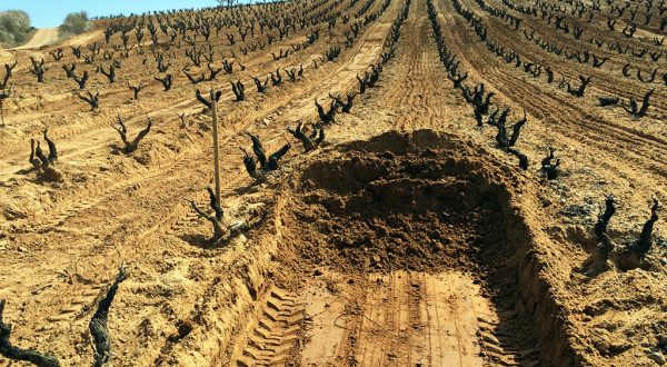 Excavaciones Vicente Lopez Roa